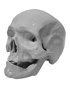 crâne humain en céramique blanche
